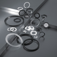 Joints TriClamp & toriques en EPDM, PTFE, Silicone, Viton, Gylon de marque RubberFab, Newman & Garlock Technetics